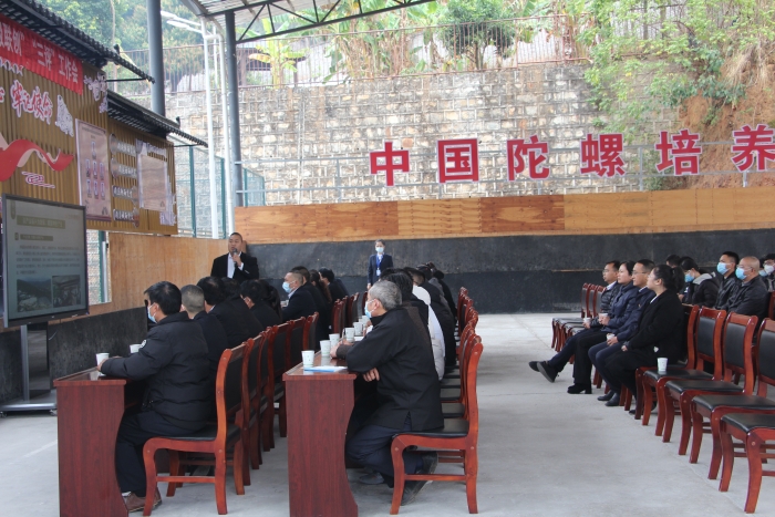 基层党建“四级联创”第五次现场推进会3