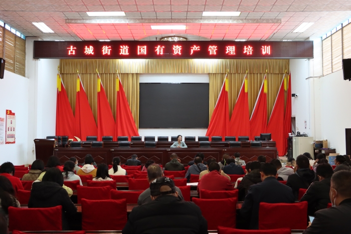 古城街道：国有资产管理培训促资产效能提升1 (1)