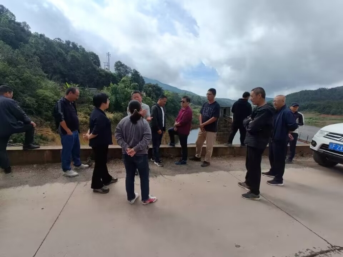 县督察组到扬武开展河（湖）长制督察工作