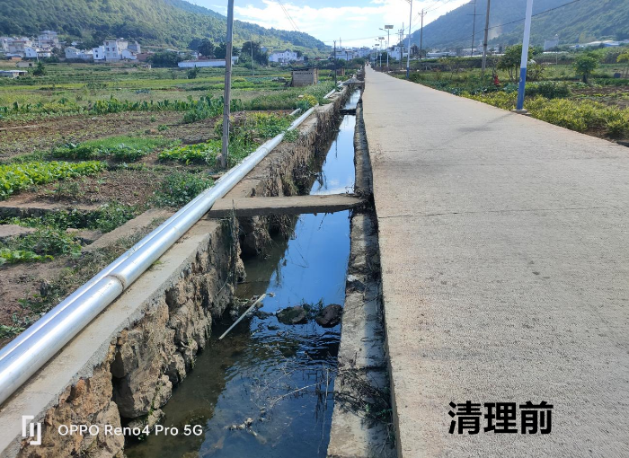 扬武镇开展“党建+河长制”冬季清河行动5