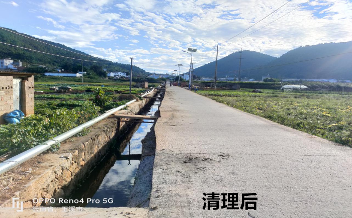 扬武镇开展“党建+河长制”冬季清河行动6
