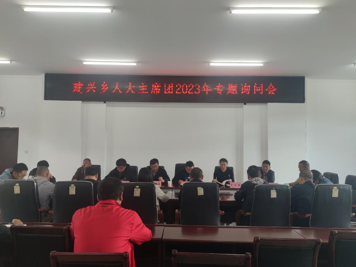 建兴乡人大主席团开展2023年专题询问会1