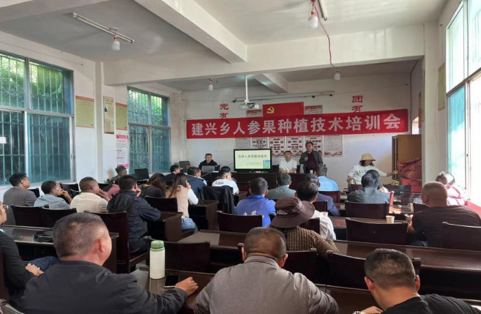 乡村振兴｜建兴乡开展人参果种植技术培训会1