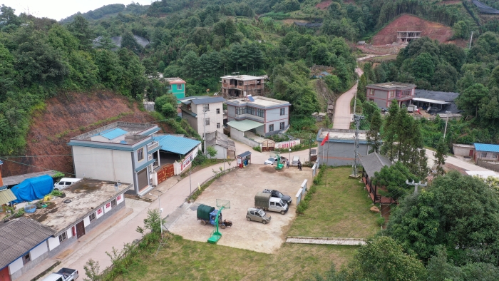 建兴：老箐黄精又见丰收 “药材经济”托起乡村振兴梦3