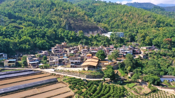 持续发力促增收3