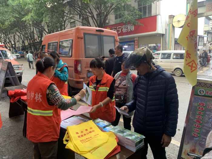 图片30
